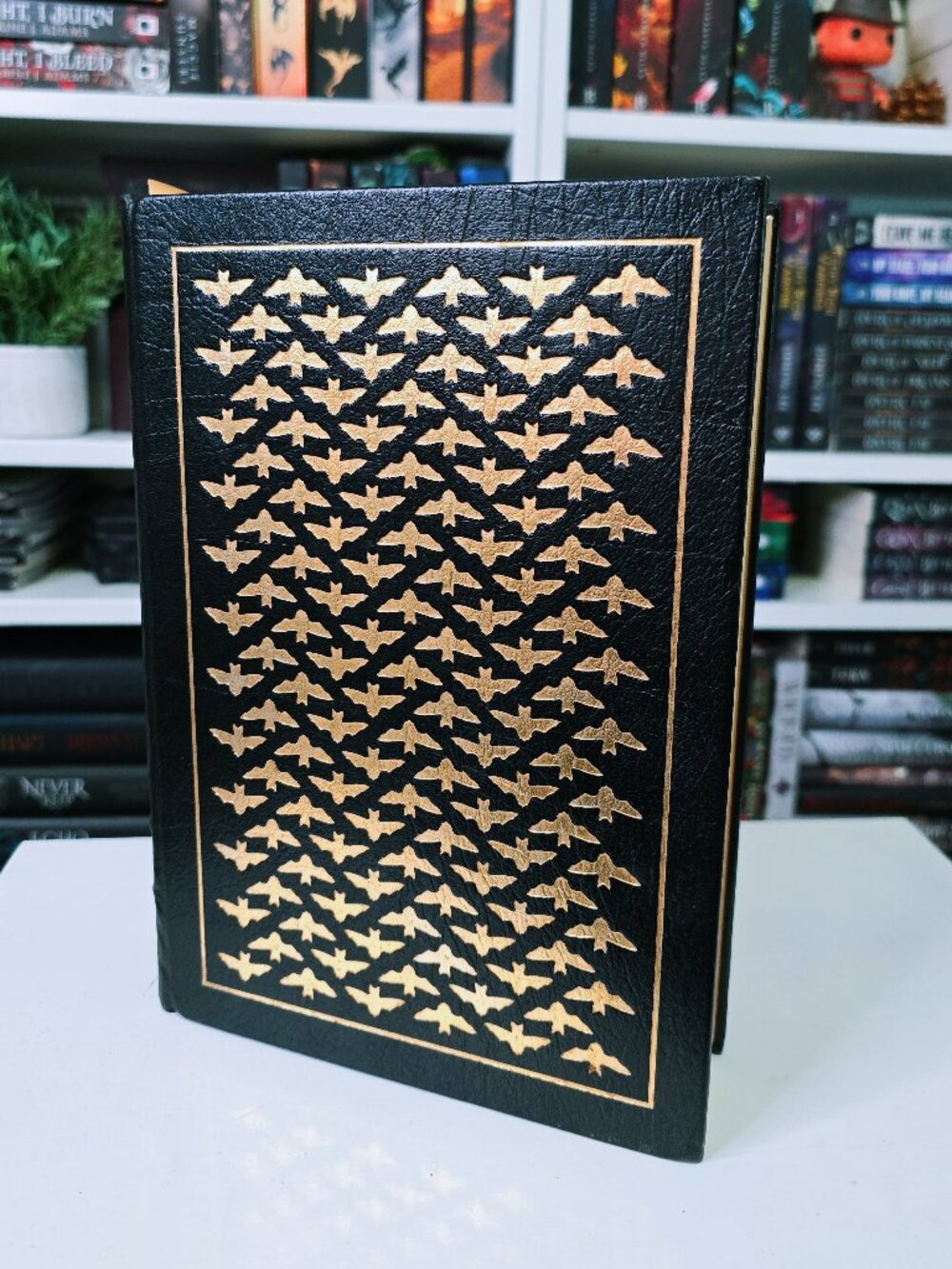 RARE DRACULA Leather Bound Collectors Edition - Picture 2 of 12